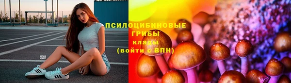 меф Алексин