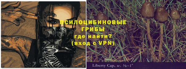 a pvp Алзамай