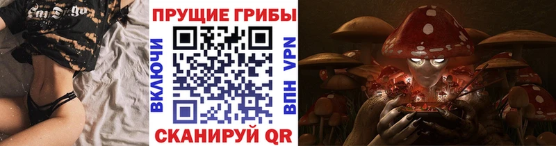 Галлюциногенные грибы мухоморы  кракен как зайти  Тайшет 